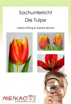 Sachunterricht - Die Tulpe 