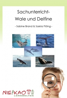 Sachunterricht - Wale und Delfine 